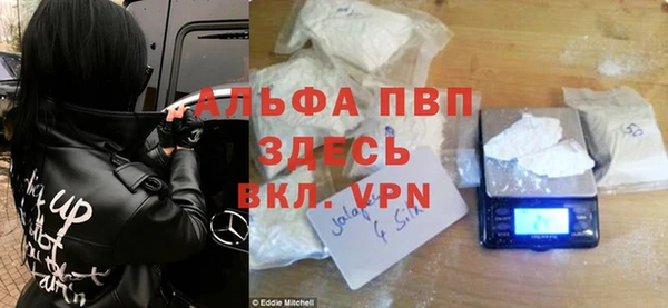 дживик Горняк