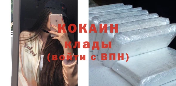 дживик Горняк