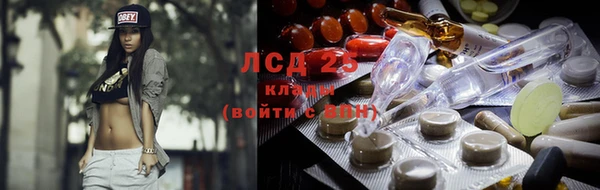 дживик Горняк