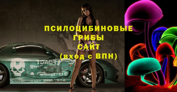 дурь Горнозаводск
